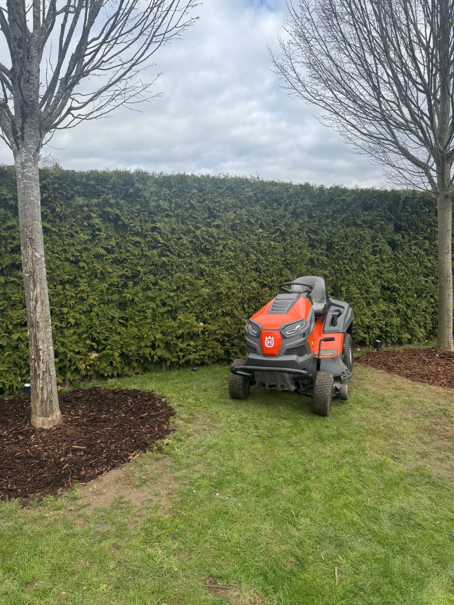 Red and black riding lawn mower parked on grass between bare trees and a tall green hedge