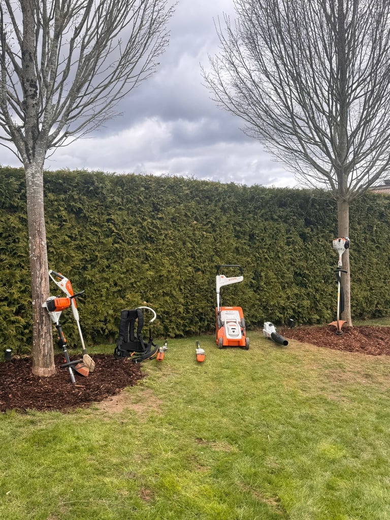 Backyard landscaping work with chipper machine and equipment between two bare trees against a green hedge